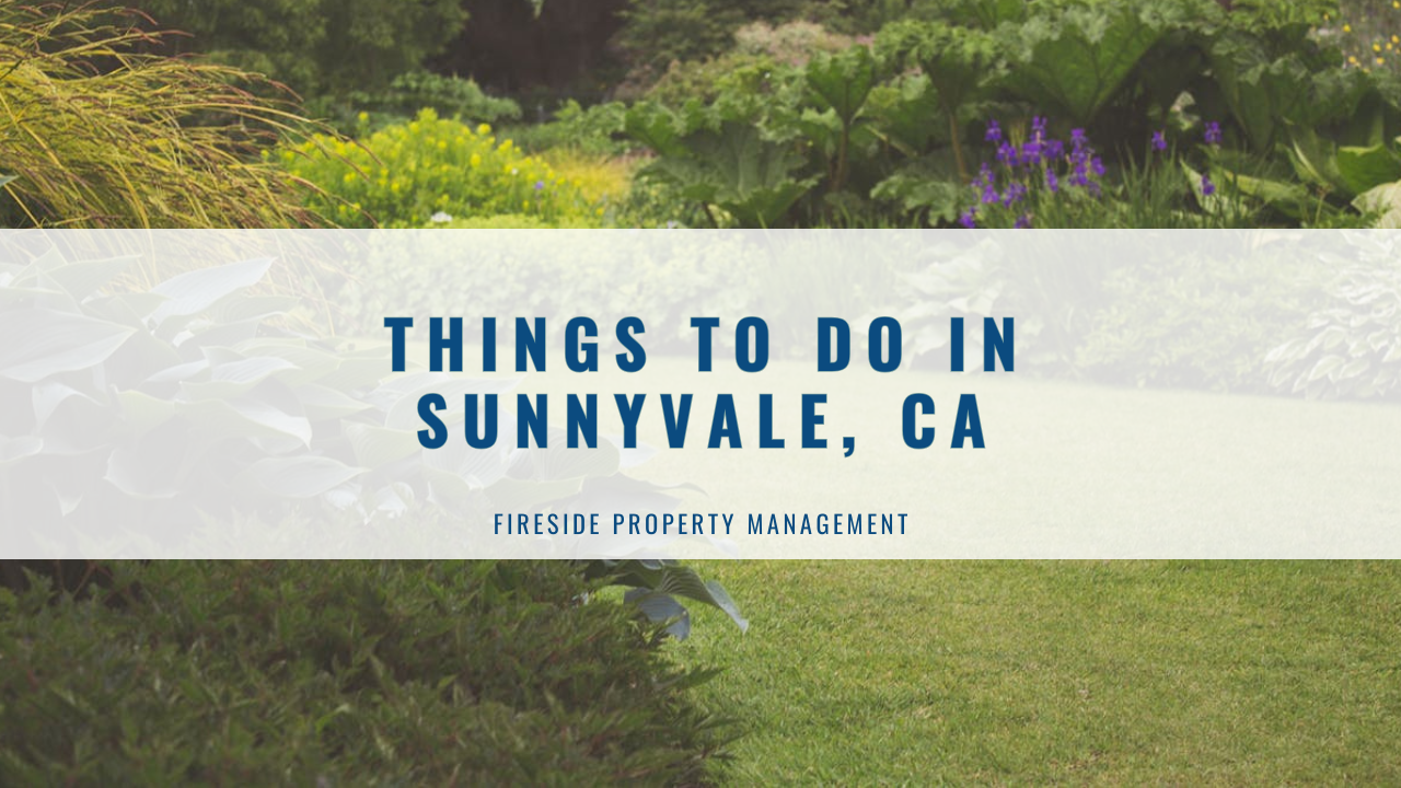 Things to Do in Sunnyvale, CA